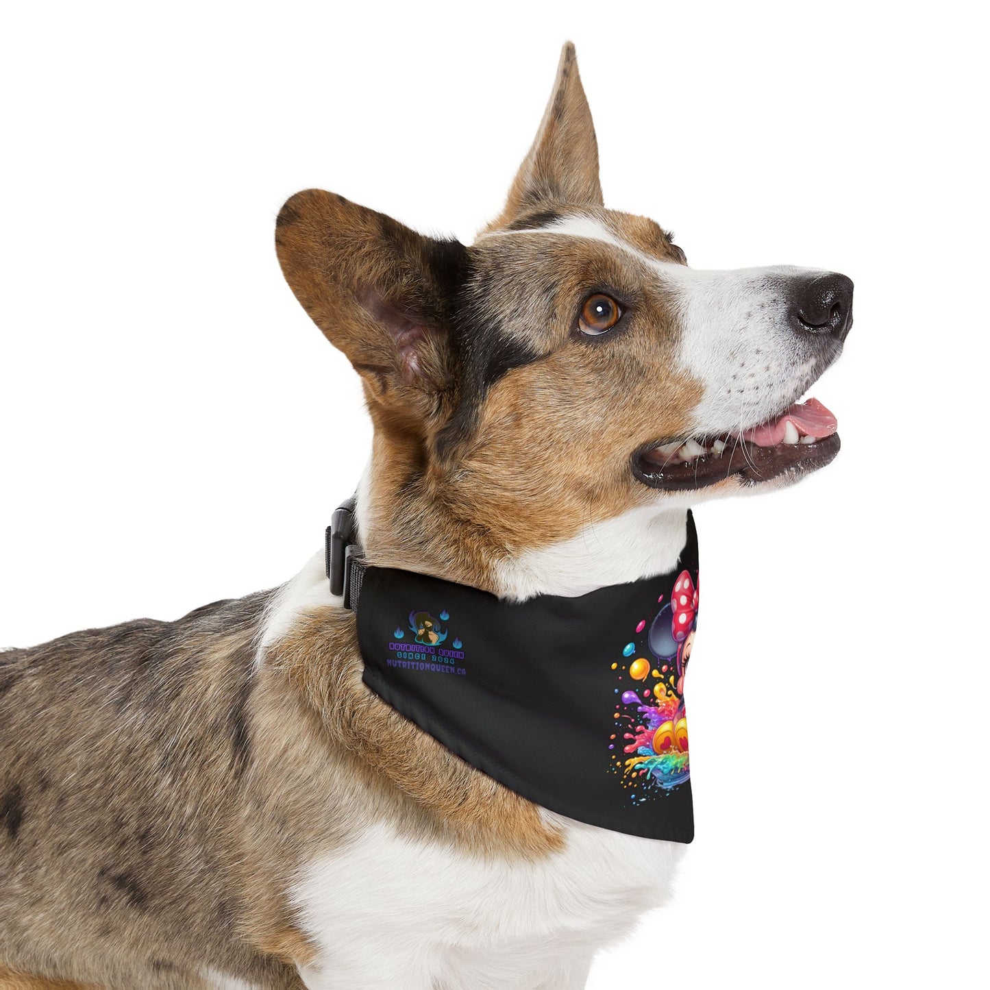 Baby Minnie-Mouse Splash Pet Bandana Collar