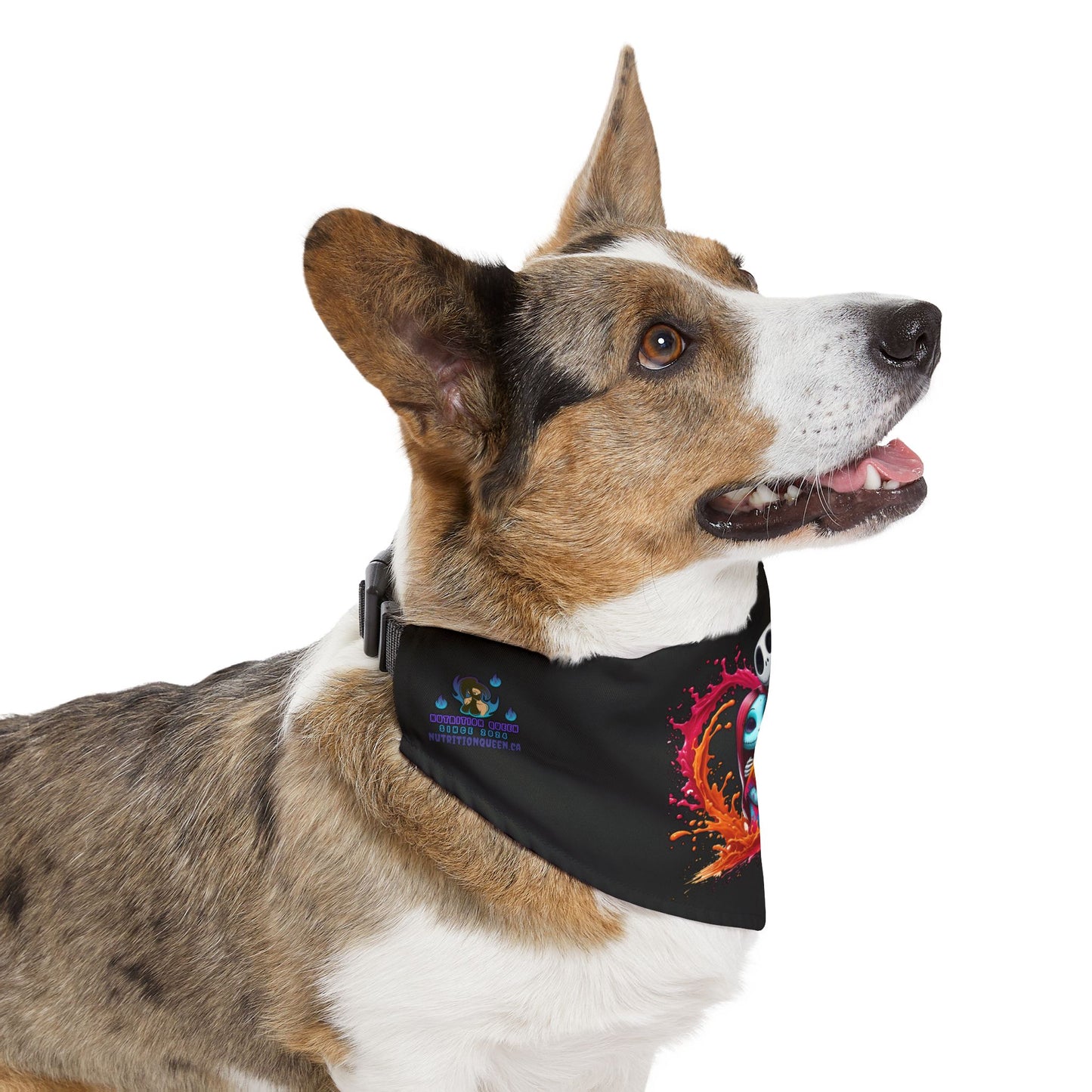 Colorful Love Jack & Sally Pet Bandana Collar
